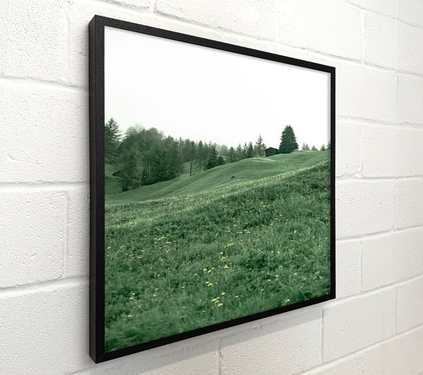 Emerald Green Hills