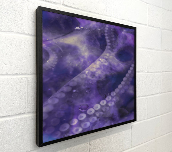 Purple Octopus Dream