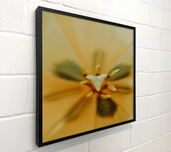 Golden Petal Secrets