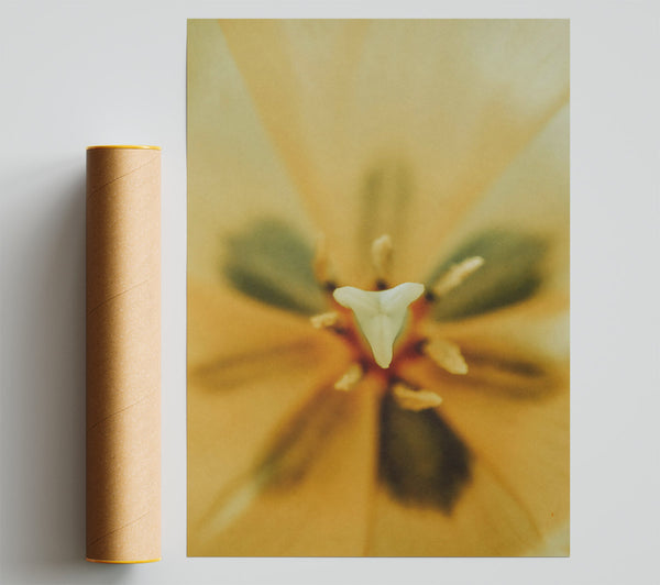 Golden Petal Secrets Print