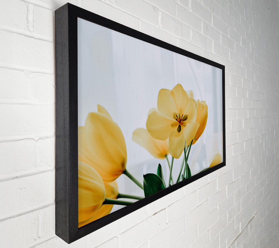  A Canvas Print of Golden Tulip Bloom Canvas Wall Art