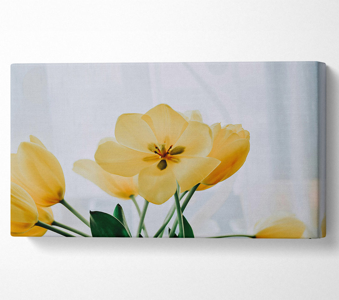  A Canvas Print of Golden Tulip Bloom Canvas Wall Art