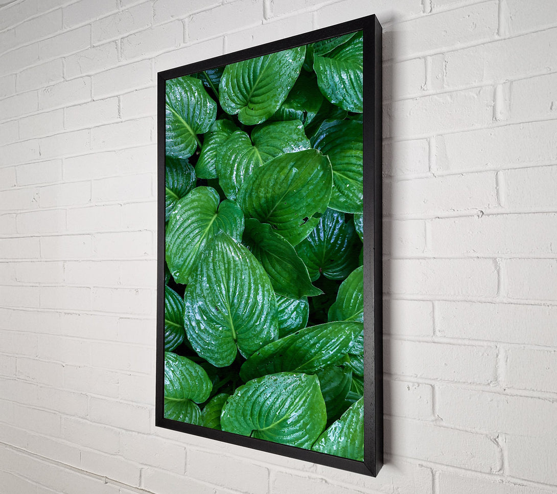  A Canvas Print of Emerald Leaf Symphony Canvas Art