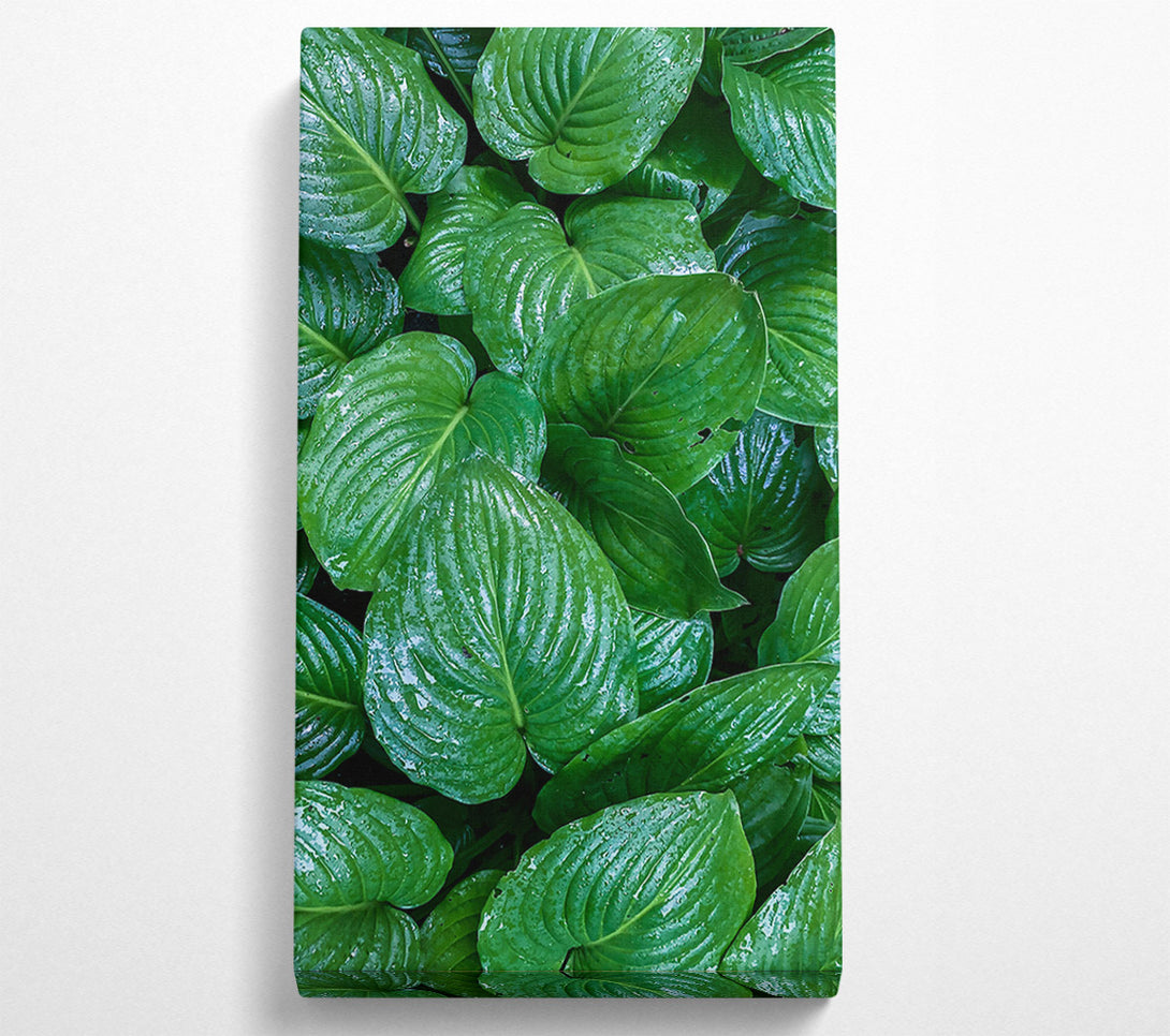  A Canvas Print of Emerald Leaf Symphony Canvas Art
