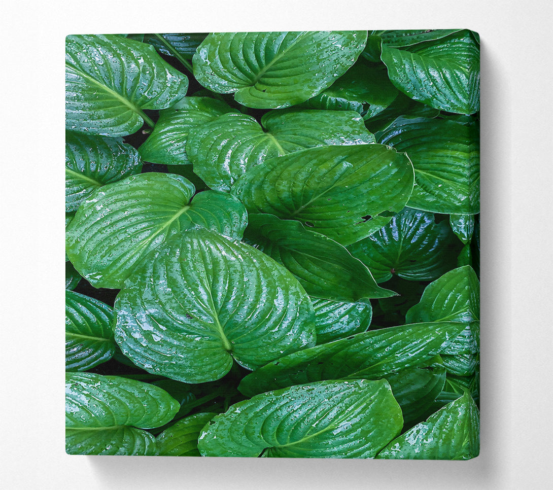  A Canvas Print of Emerald Leaf Symphony Canvas Art