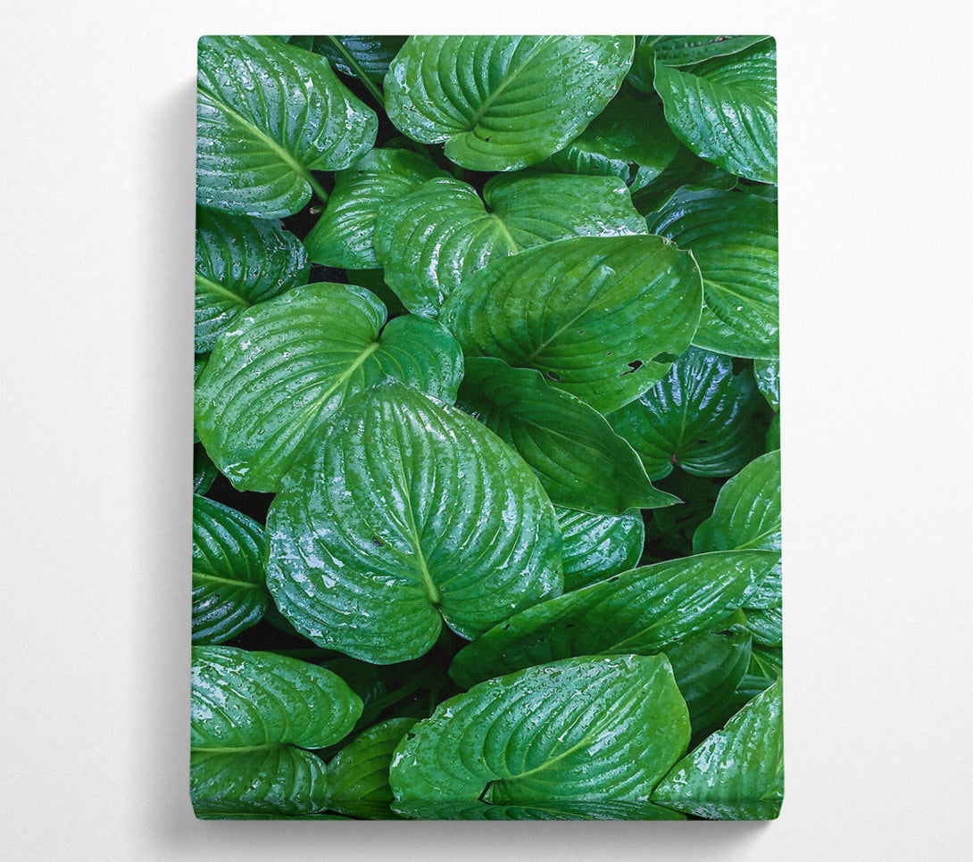  A Canvas Print of Emerald Leaf Symphony Canvas Art