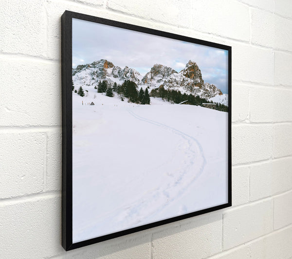 White Mountain Tracks.
