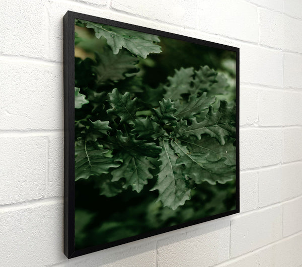 Emerald Forest Leaves