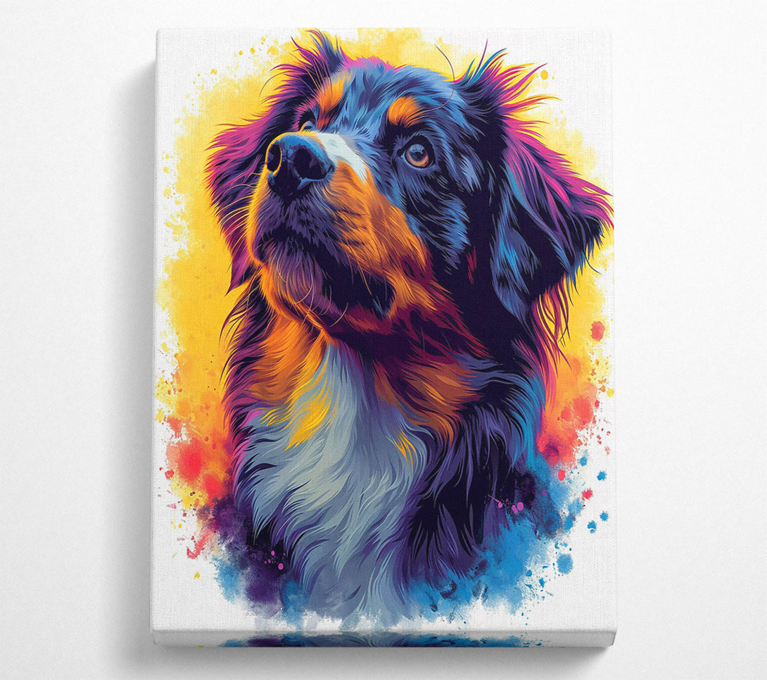  A Canvas Print of Collie Staring Graffiti Canvas Print