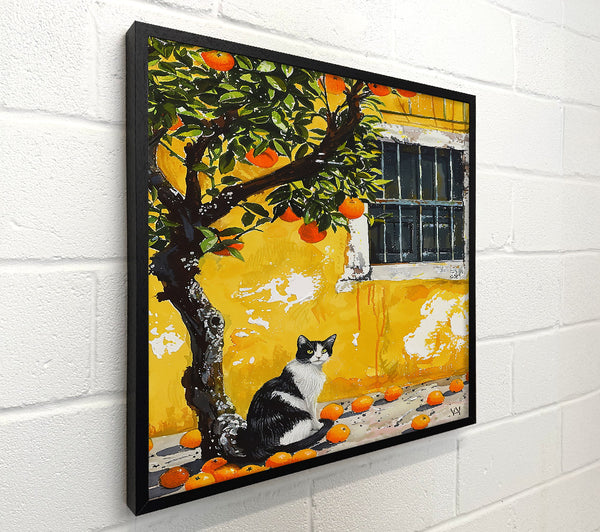 Golden Cat And Oranges