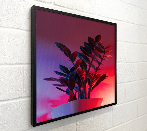 Pink Neon Plant