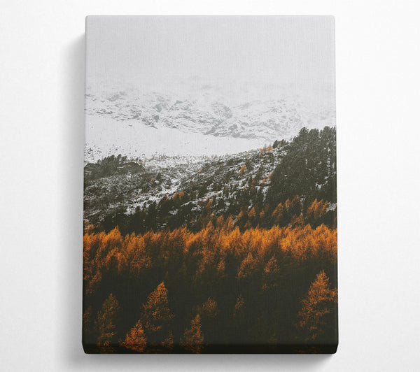  A Canvas Print of Golden Snow-Capped Peaks Canvas Wall Art