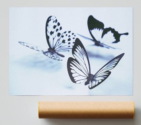 Blue Butterfly Flight Poster