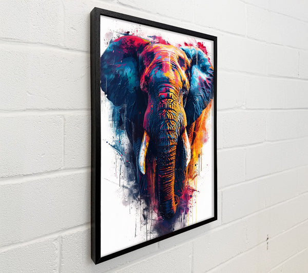 Colour Explosion Elephant