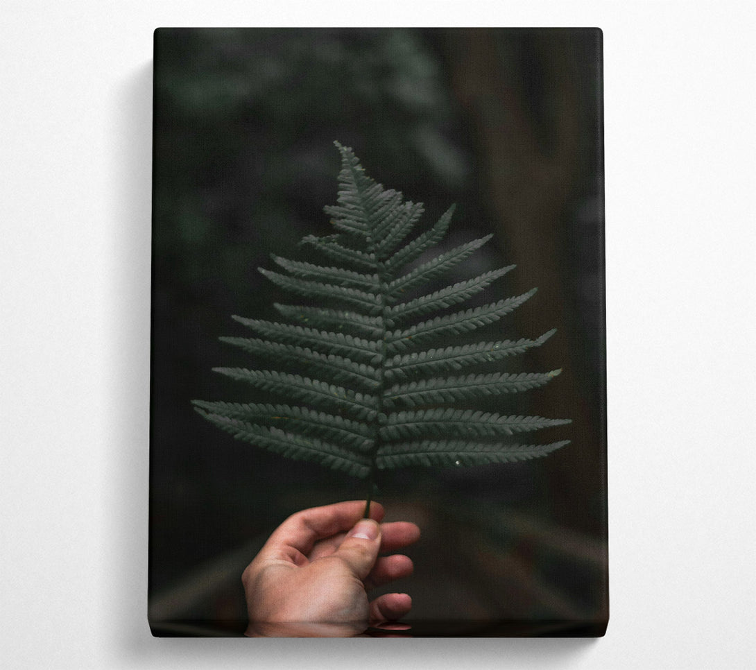  A Canvas Print of Emerald Fern Frond Canvas Wall Art