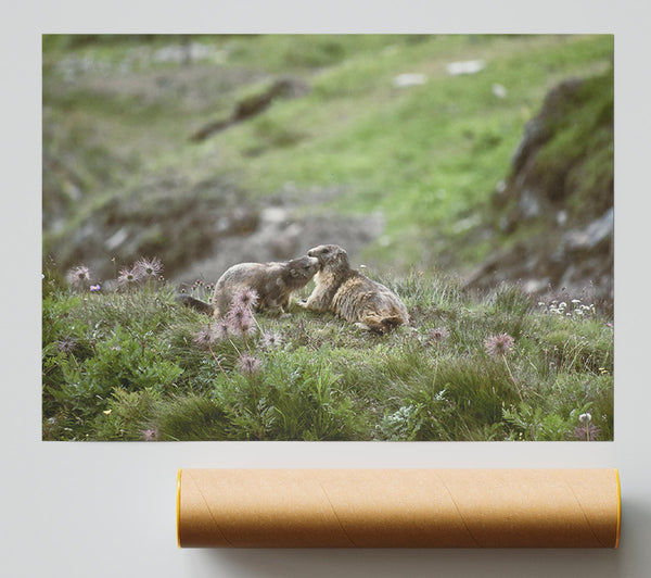 Green Meadow Marmots Giclee Print