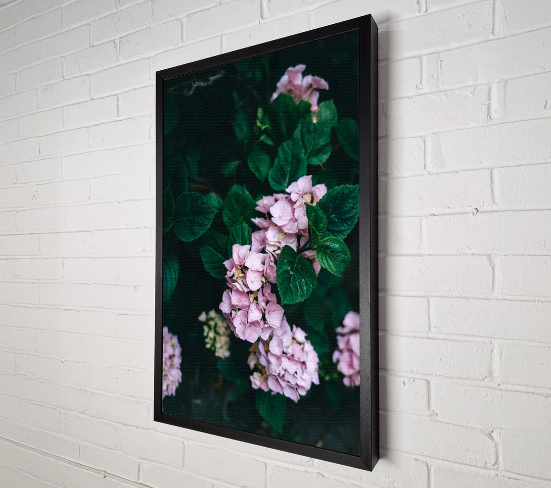  A Canvas Print of Pink Blooms In The Shade Canvas Print