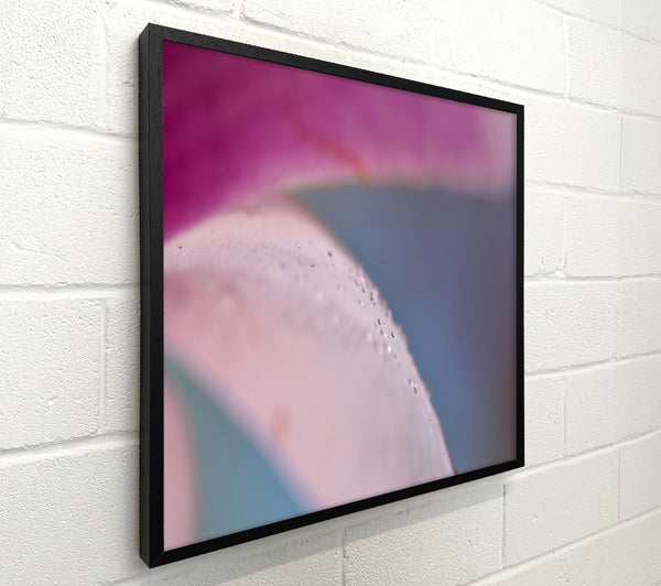 Soft Pink Dewdrop
