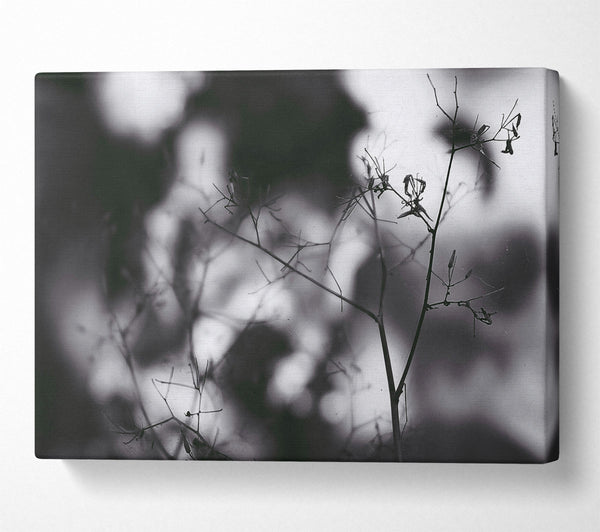  A Canvas Print of Gray Haze Silhouette Canvas Wall Art