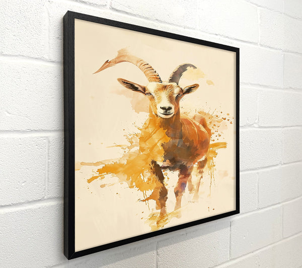 Golden Mountain Goat.