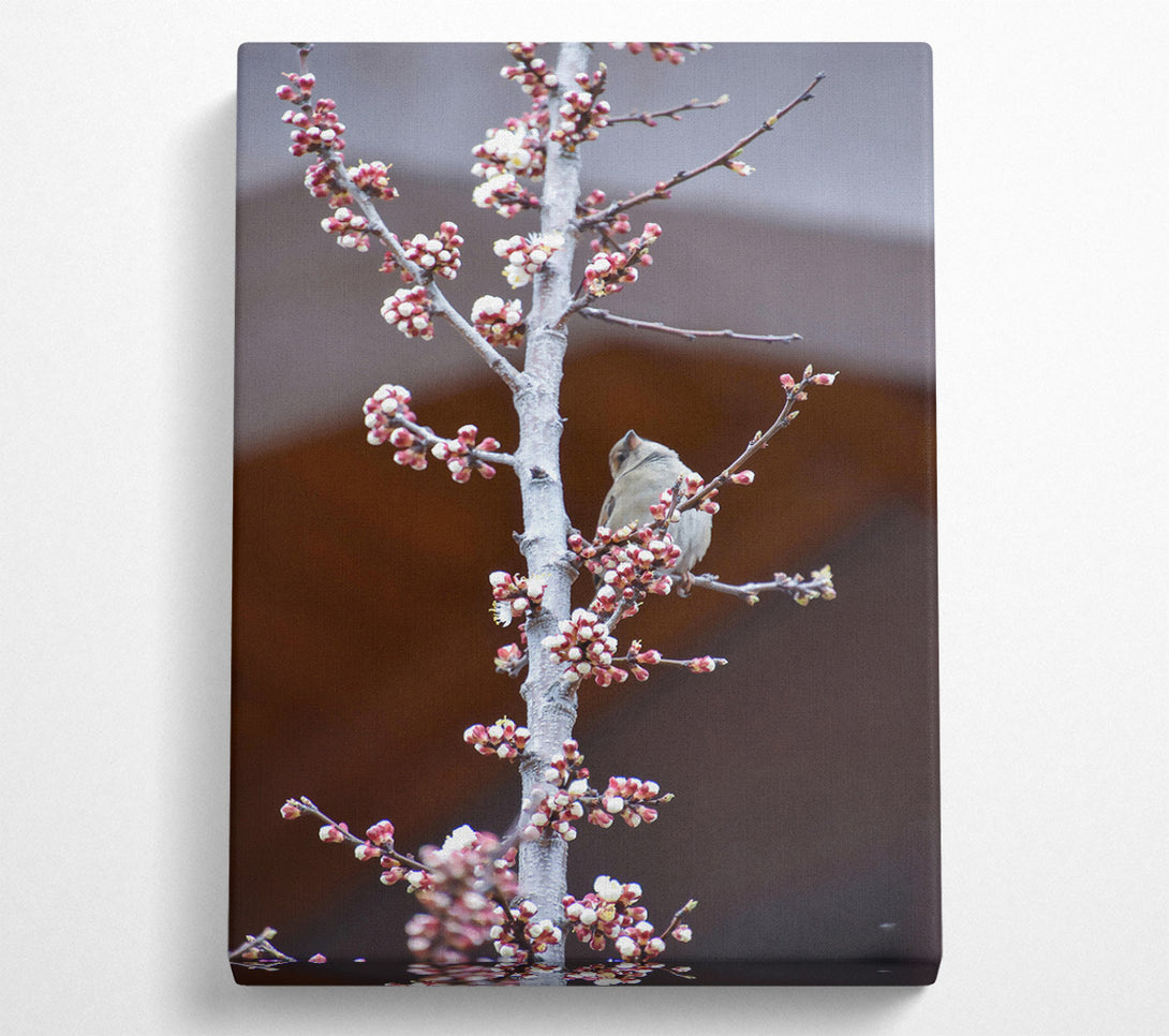  A Canvas Print of Pink Blossom Branch Canvas Print