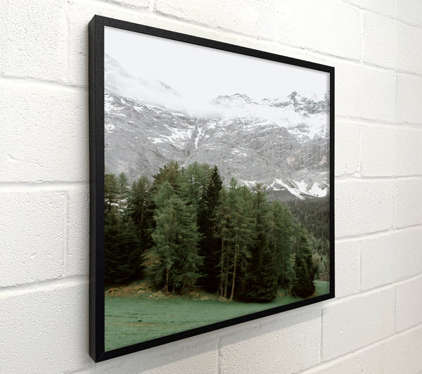 Green Pines And Grey Peaks.
