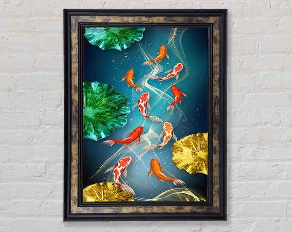 Coloured Fish
