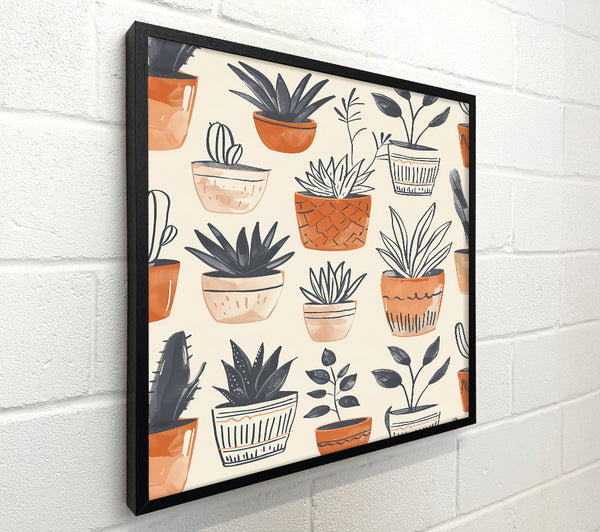 Terracotta Potted Plants