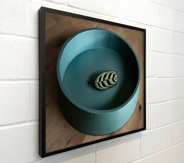 Teal Leaf Resting