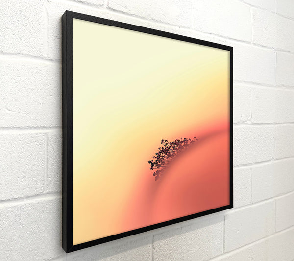 Peach Bloom Dreams