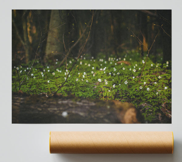 Green And White Woodland Giclee Print