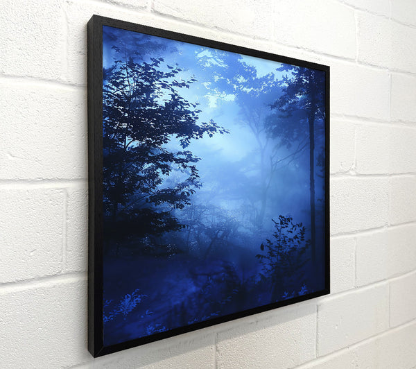 Indigo Forest Mist