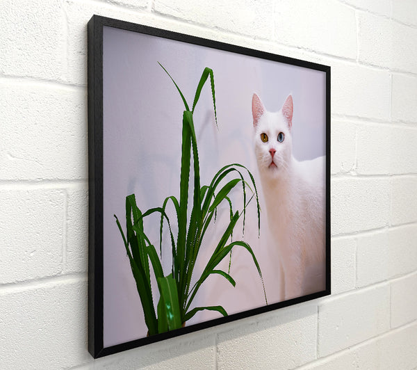 White Cat And Green Plant