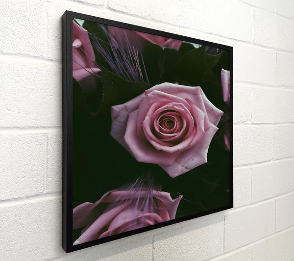Blush Pink Bloom