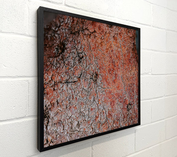 Rustic Red Bark