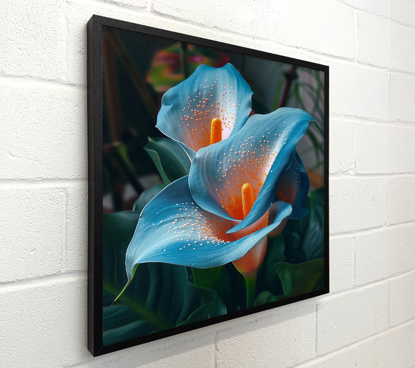 Azure Calla Embrace