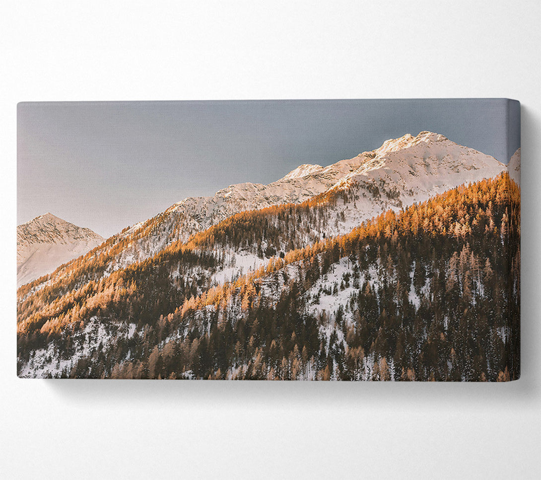  A Canvas Print of Golden Mountainside Sunset Canvas Art
