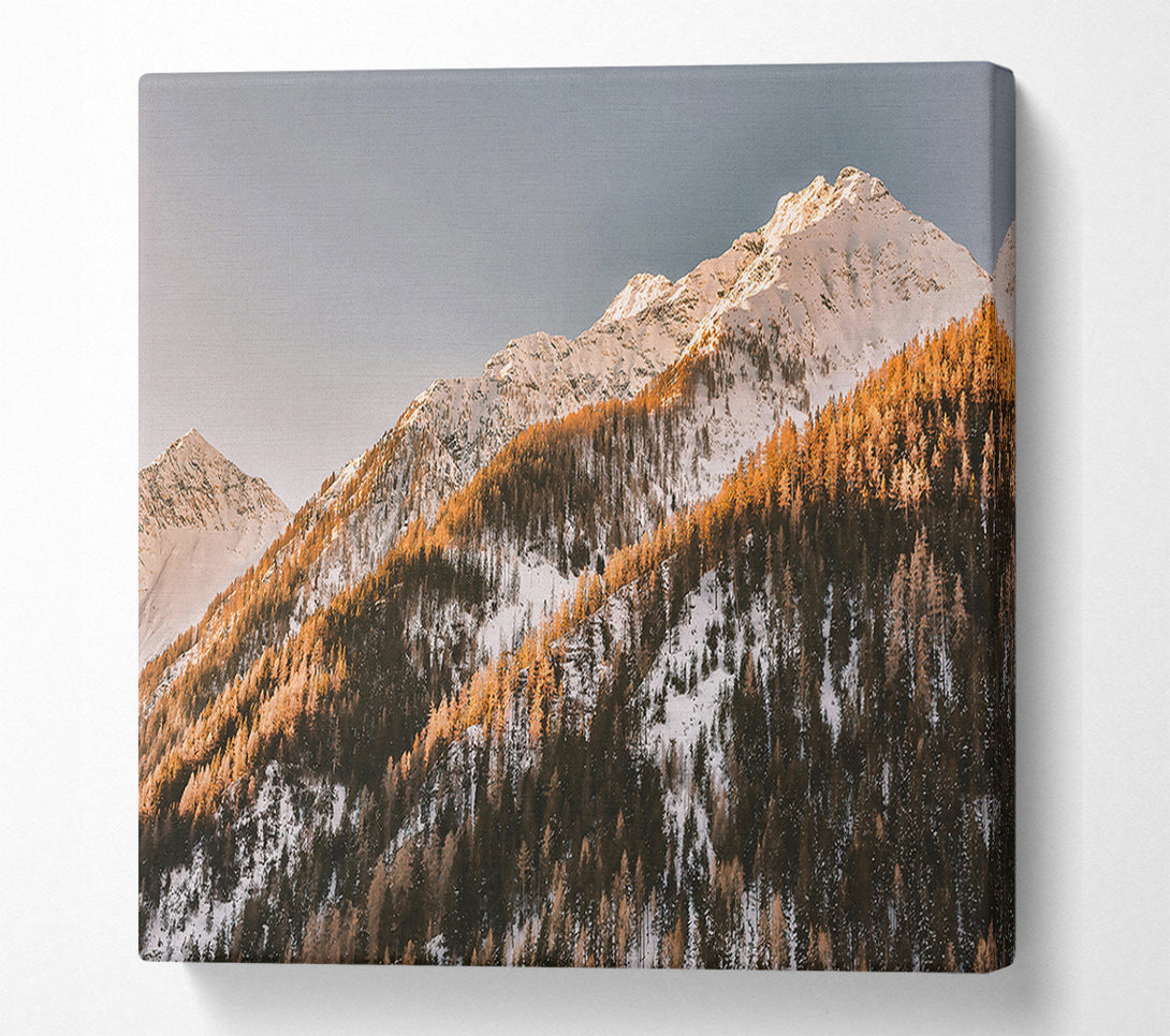  A Canvas Print of Golden Mountainside Sunset Canvas Art