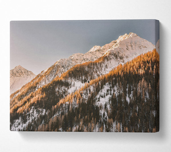  A Canvas Print of Golden Mountainside Sunset Canvas Art