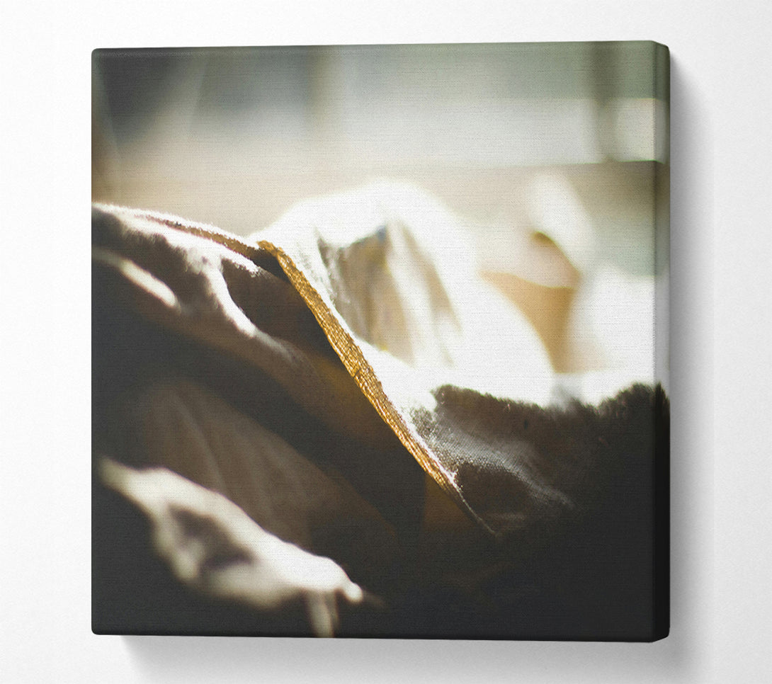  A Canvas Print of Sunlit Cream Fold Canvas Print
