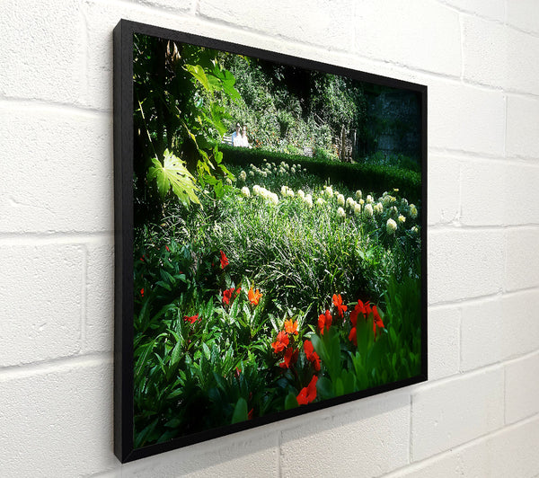Green And Red Garden