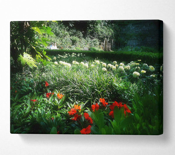 Green And Red Garden