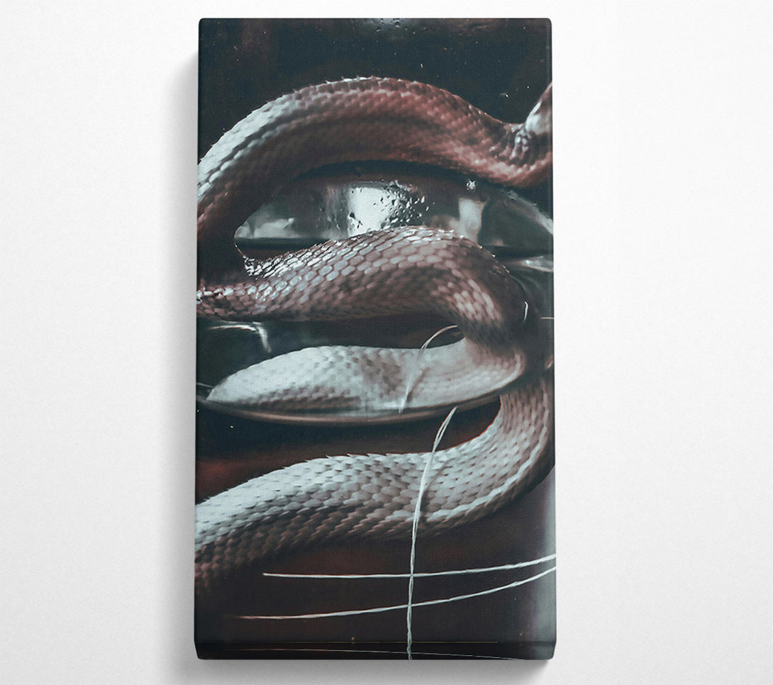  A Canvas Print of Silver Snake Coils Canvas Print