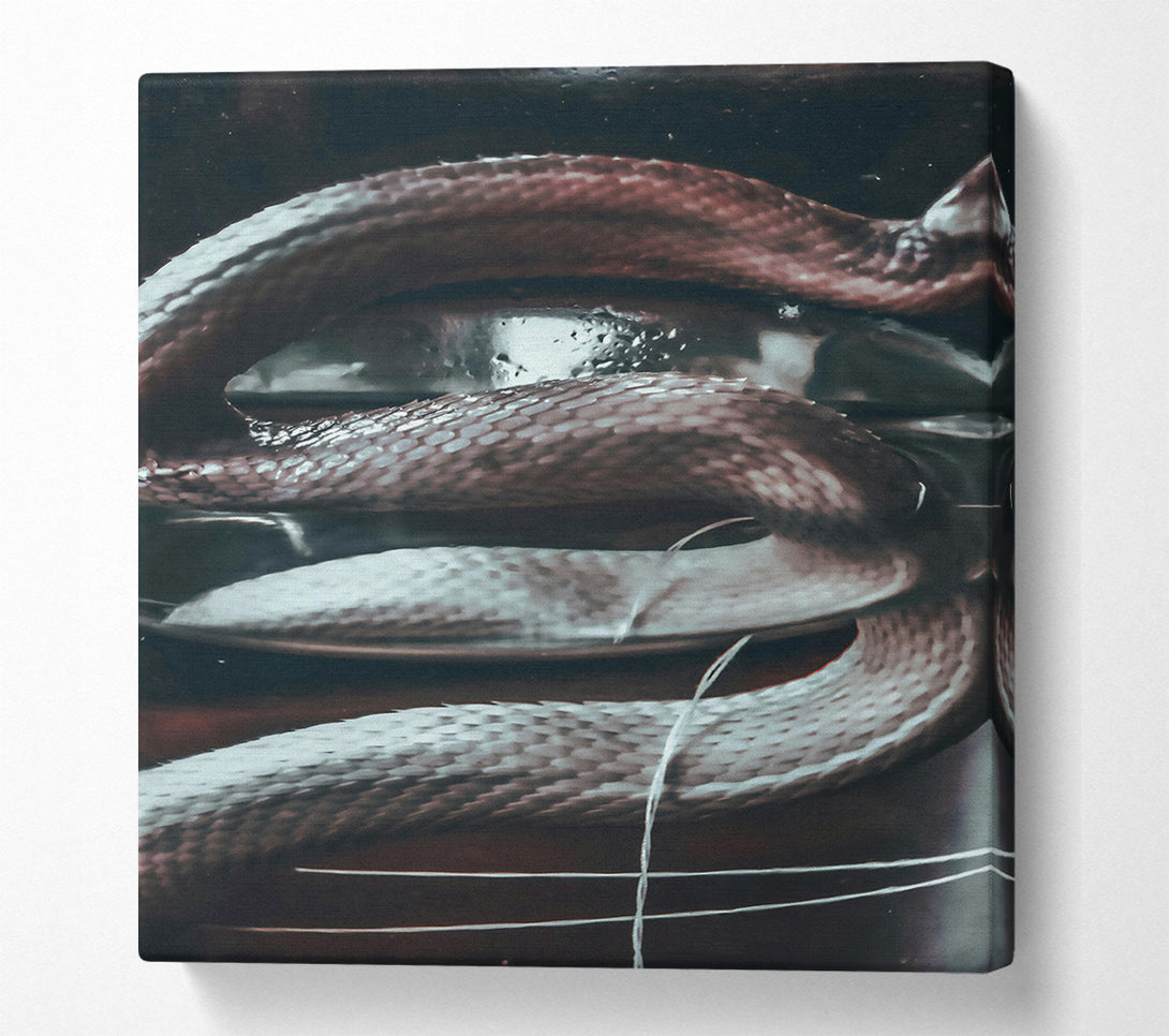  A Canvas Print of Silver Snake Coils Canvas Print