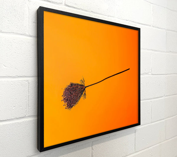 Orange Stem Silhouette