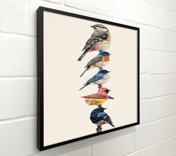 Bluebird Branch Symphony