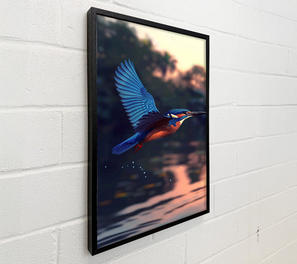 Azure Kingfisher Dive