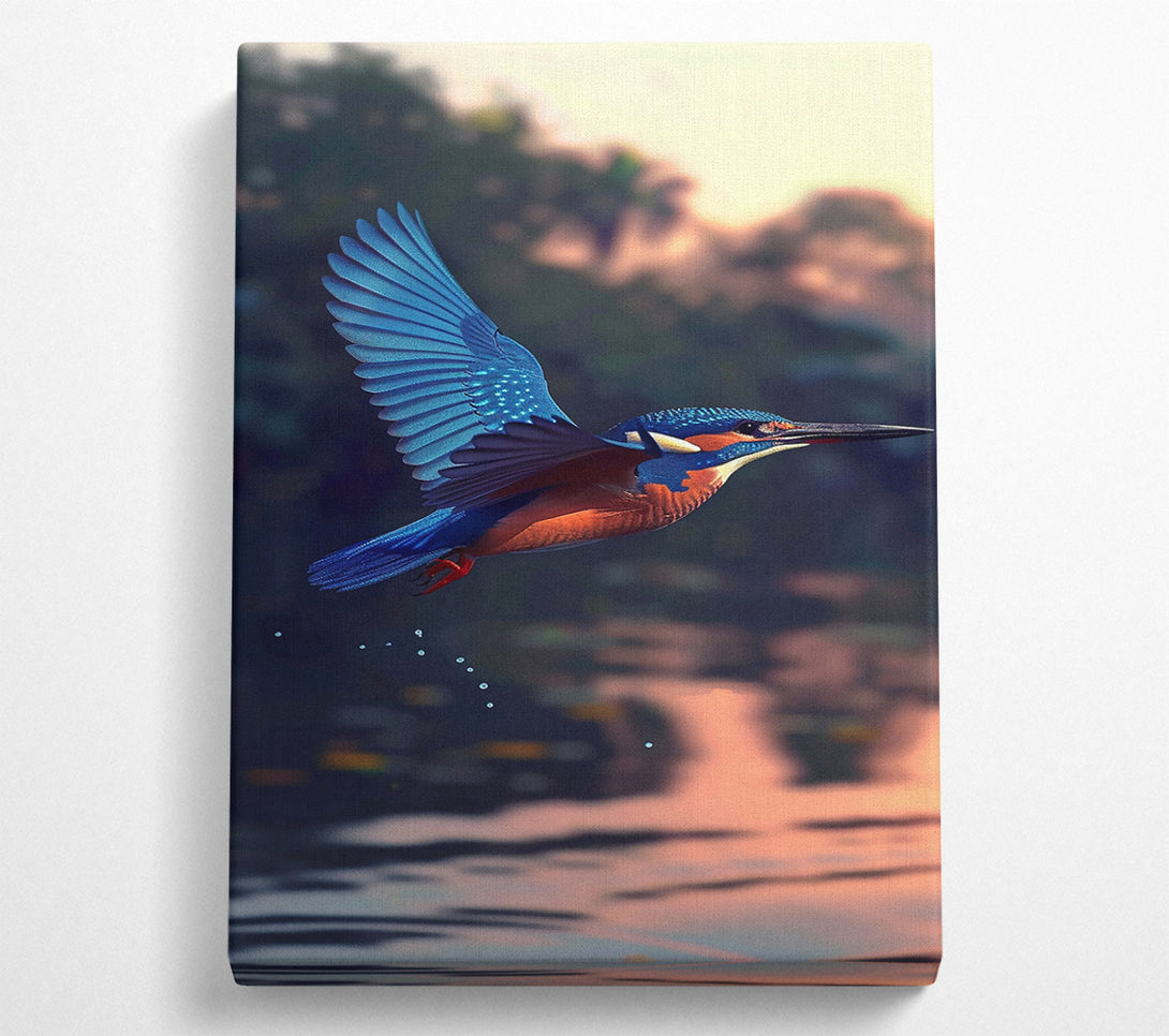  A Canvas Print of Azure Kingfisher Dive Canvas Print
