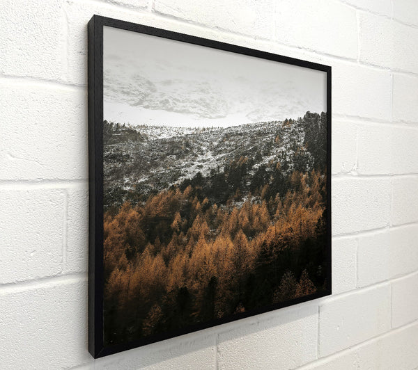 Golden Forest Peaks