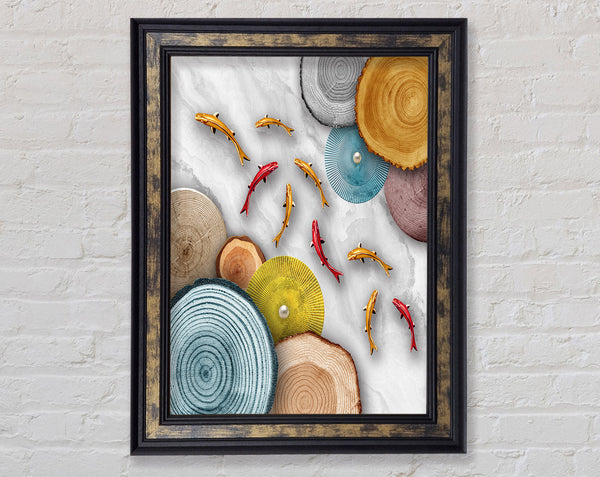 Colourful Fish Swimming Around
